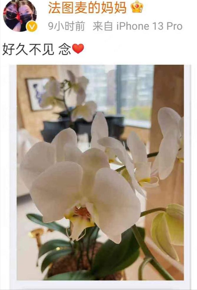 中央电视台得了癌症的主持人,新闻联播主持人得癌症去世的是谁