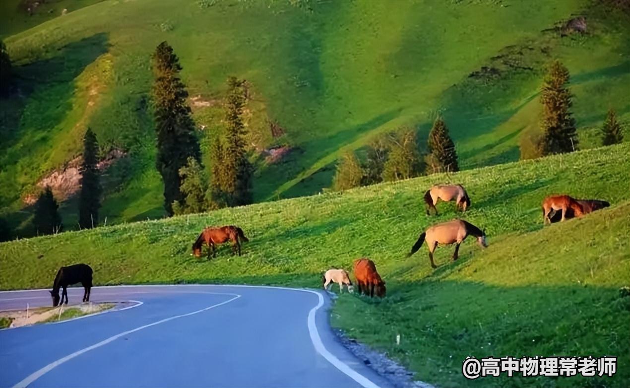 鐙簱鍏矾鐜枂鍗楀寳,鐙簱鍏矾淇￠┈娓哥枂