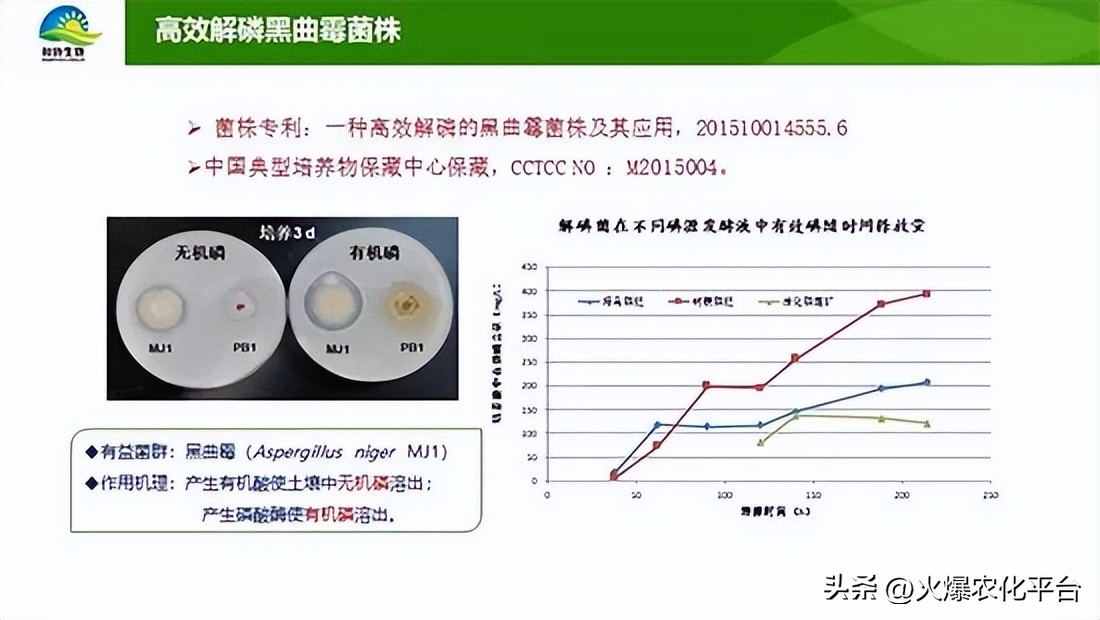棚里土板结最好的解决方法,大棚土壤板结解决方法