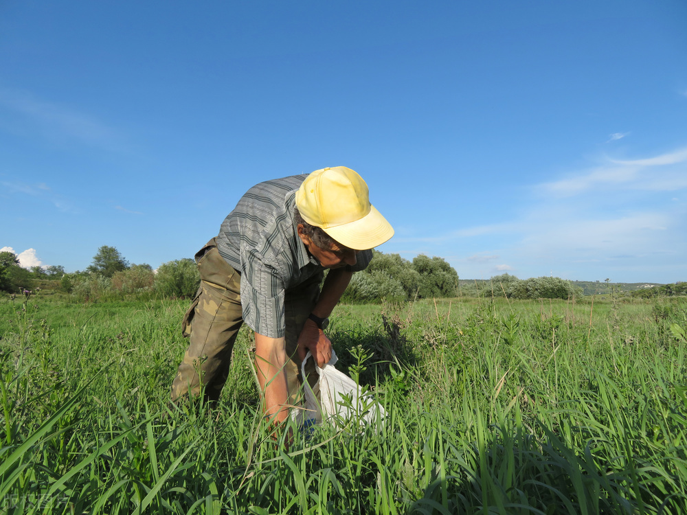 百因必有果小孩子,百因必有果小三