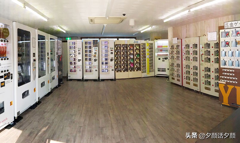 日本五花八门的自动贩卖机。将来的自动贩卖机会是什么样子？