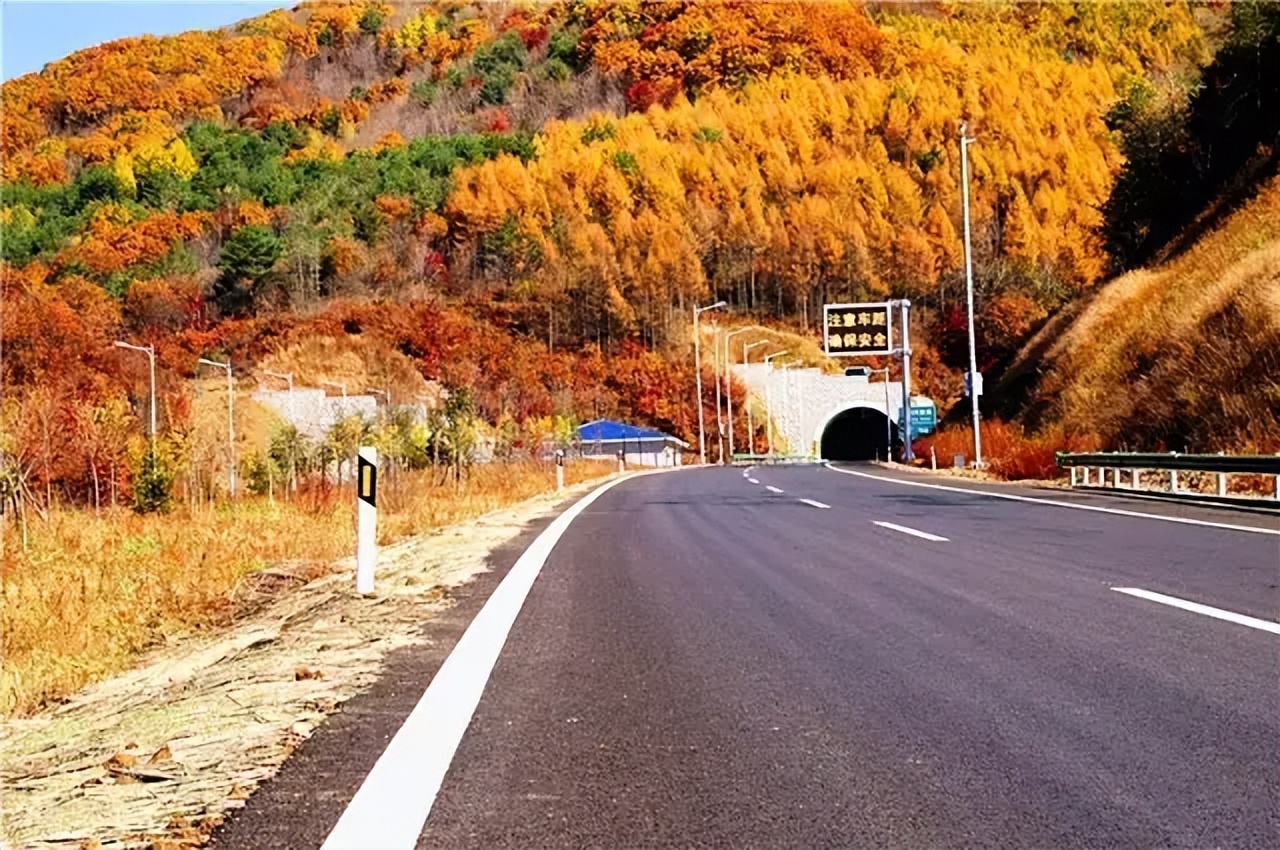 新手开车注意事项汇总,新手开车注意事项及安全措施