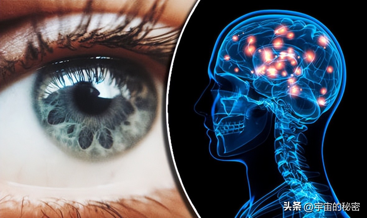 科学家怀疑现实世界是真的吗,科学家证实我们是虚拟的世界