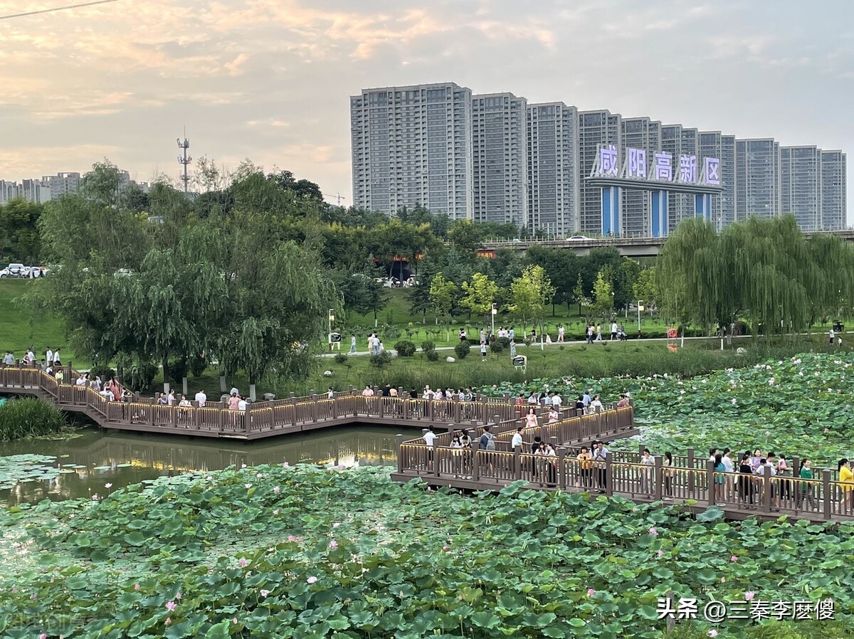 咸阳十大公园,咸阳市都有哪些公园