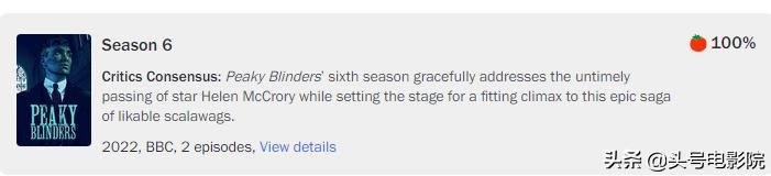 豆瓣评浴血黑帮第一季,美剧浴血黑帮第一季豆瓣评分