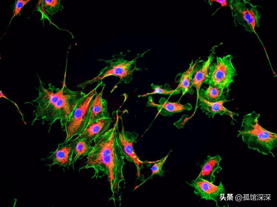 干涉波的光学螺旋度，分析探究光学螺旋度的物理原理