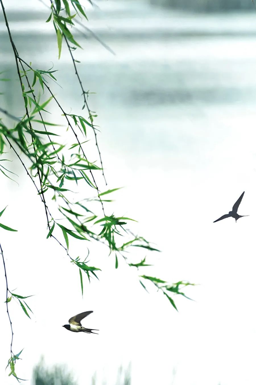 中国人对时间的雅称,中国人对时间的解读