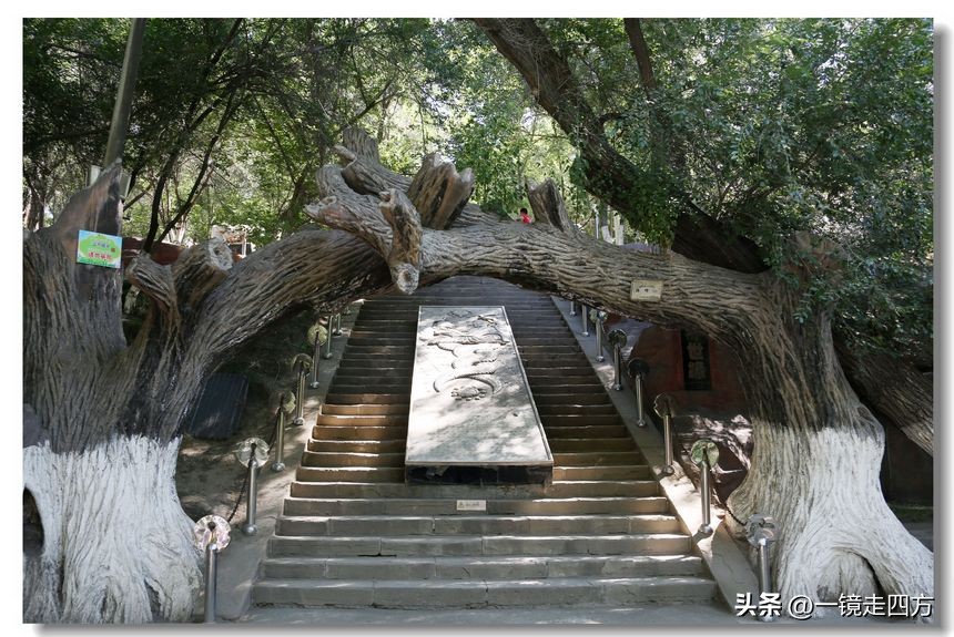 乌鲁木齐十大隐藏公园,乌鲁木齐最好的小绿谷公园