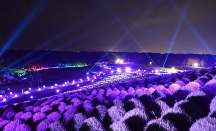 关东一日游最佳路线,关东二日游