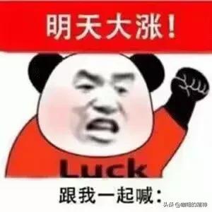 股票杠杆最多几倍,股票杠杆平台