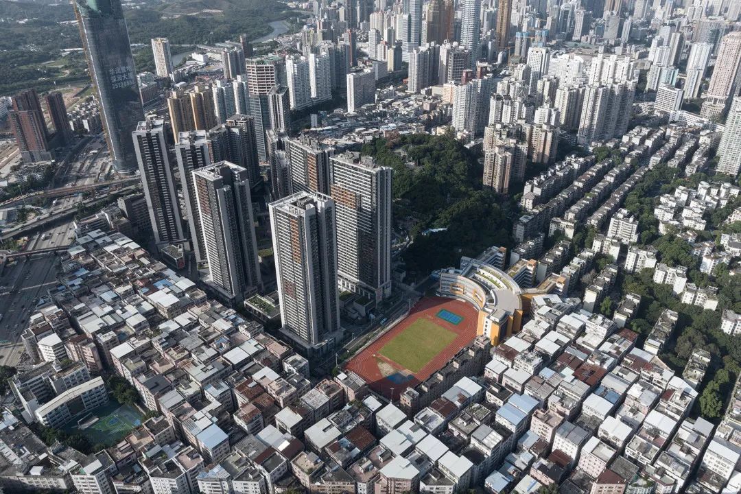 宀崡搴櫌瑙ｈ,宀崡搴櫌浜烘枃搴曡暣