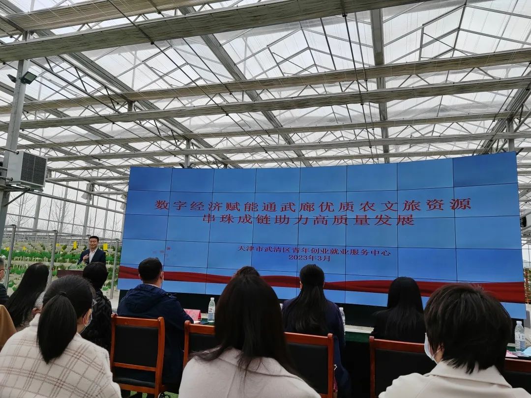 乡村振兴吸引创业群体,农村青年创业和正能量