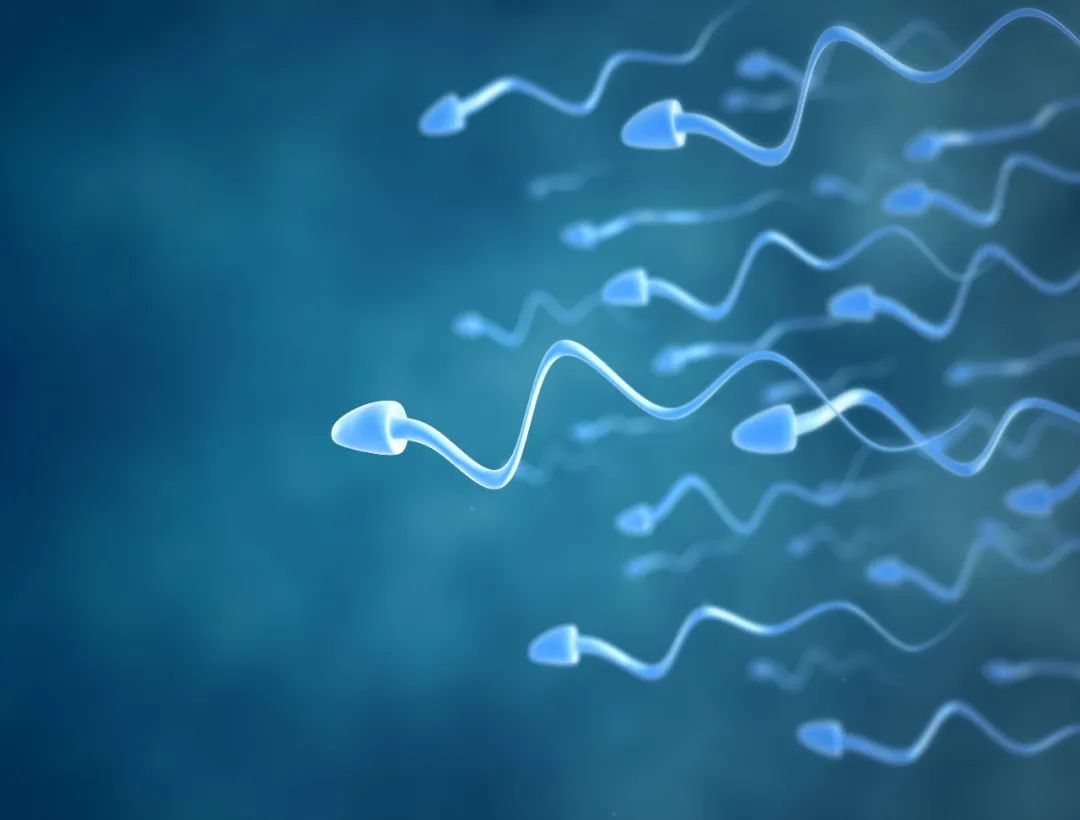 全球男性生育率断崖式下跌,半世纪男性生育力