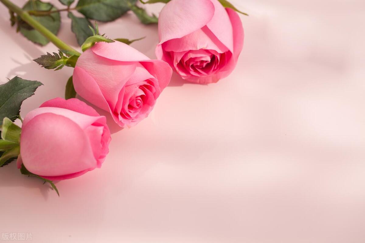 母亲节走心段子,母亲节走心的说说