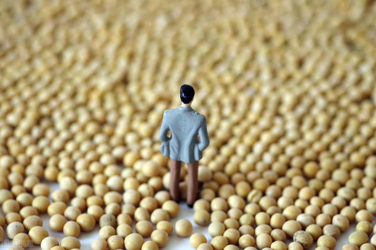 今天最新大豆价格涨了还是跌了,大豆行情今日大豆最新价格