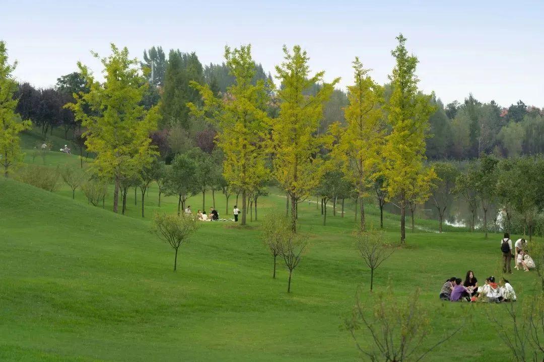 骑行打卡景点,湿地骑行观风景
