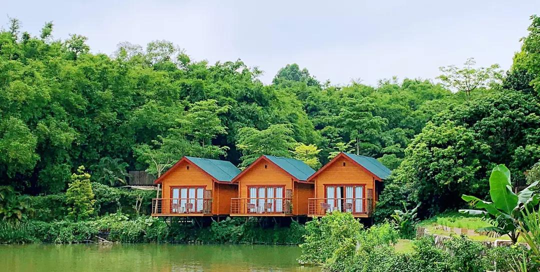 增城小众山野田园民宿,广州增城新晋网红民宿出炉