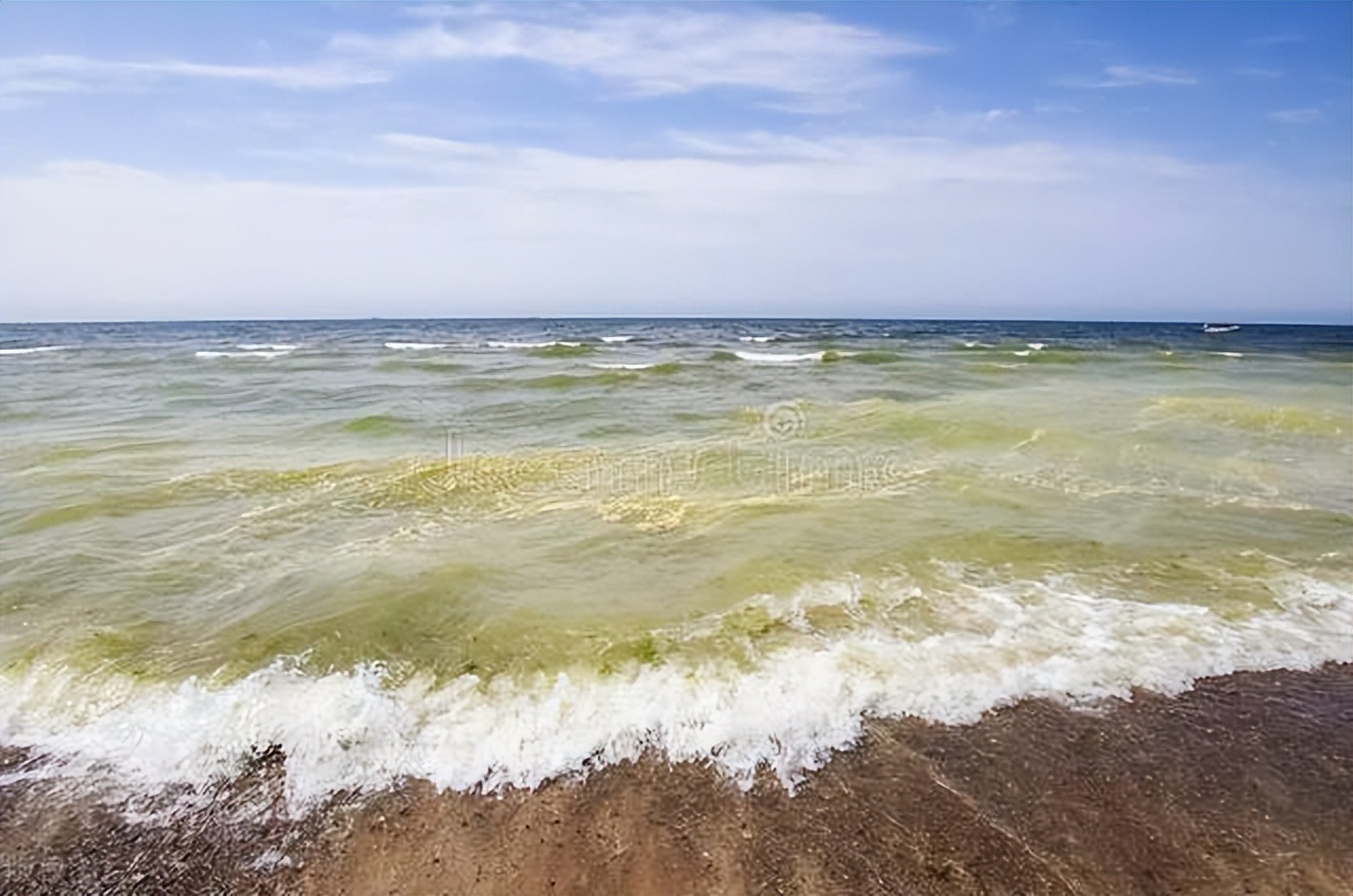 a股还有哪些好股票,a股除了正丹还有什么股票