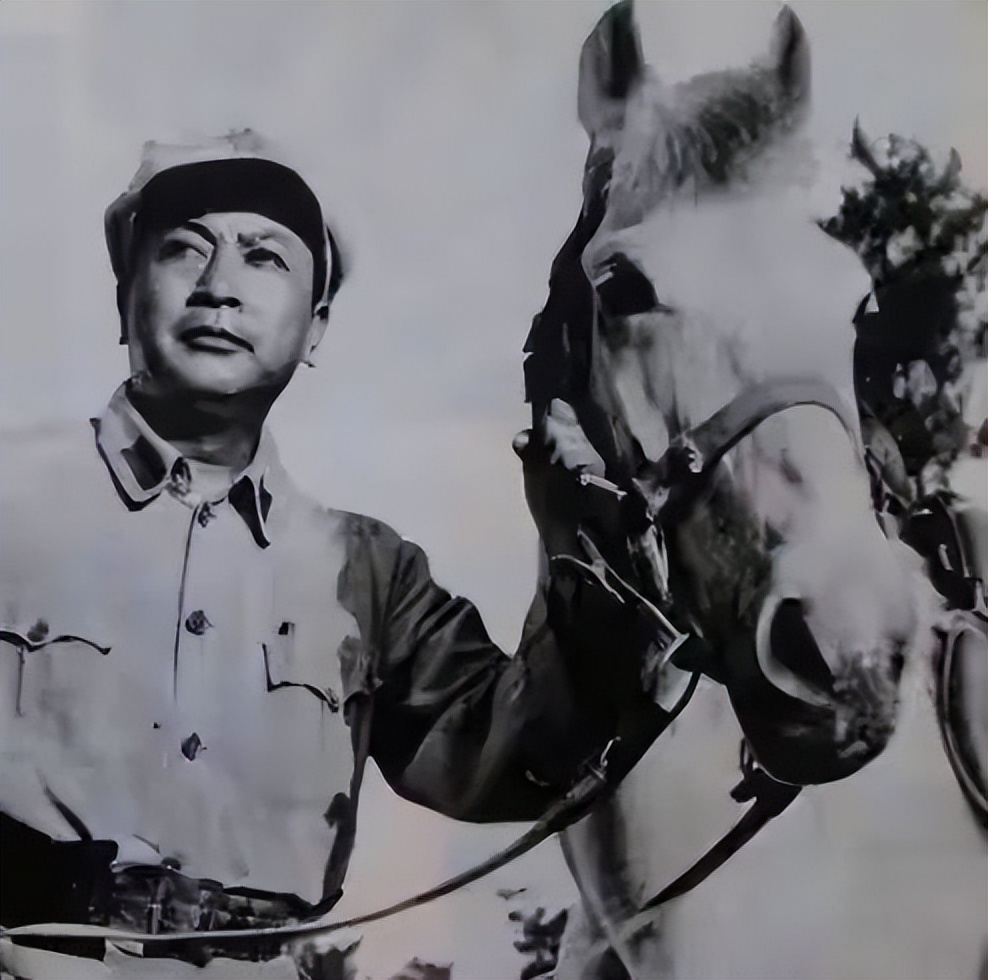 陈毅和张茜是什么电视剧,陈毅和张茜影视剧