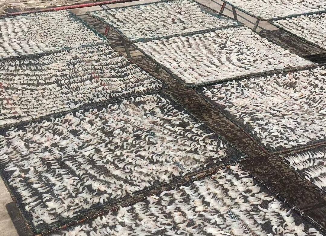 珠海旅游十大景点推荐一下,珠海当季旅游景点推荐