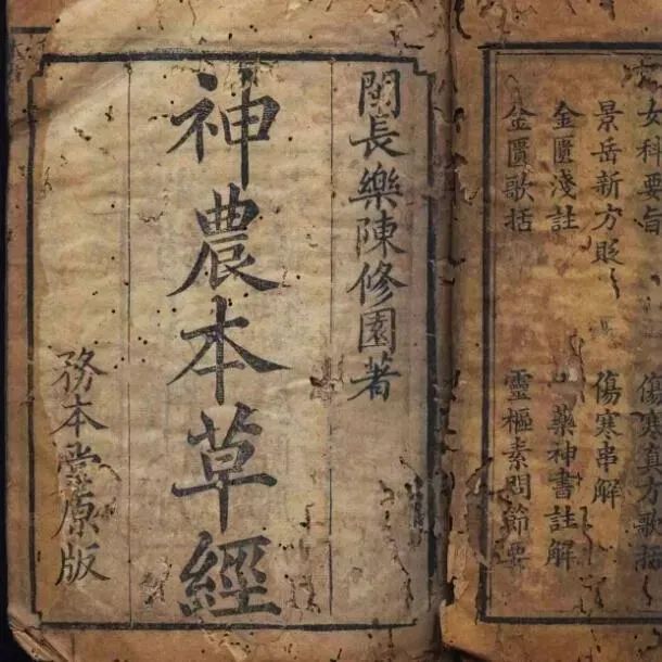 <html>
<head><title>502BadGateway</title></head>
<body>
<center><h1>502BadGateway</h1></center>
<hr><center>nginx</center>
</body>
</html>
<!--apaddingtodisableMSIEandChromefriendlyerrorpage-->
<!--apaddingtodisableMSIEandChromefriendlyerrorpage-->
<!--apaddingtodisableMSIEandChromefriendlyerrorpage-->
<!--apaddingtodisableMSIEandChromefriendlyerrorpage-->
<!--apaddingtodisableMSIEandChromefriendlyerrorpage-->
<!--apaddingtodisableMSIEandChromefriendlyerrorpage-->
