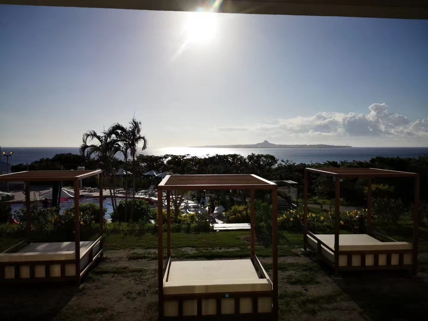 暑期档2019年,2019年暑期档