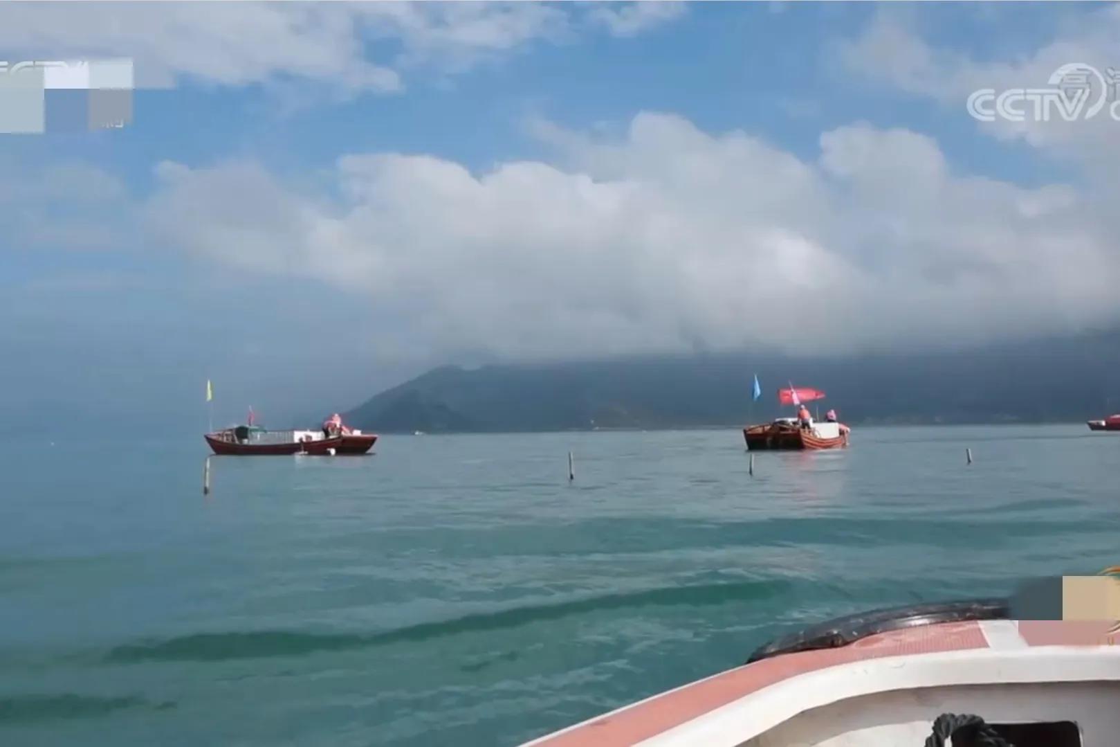 福建男子承包200亩滩涂，如今滩涂变成聚宝盆，年销售额2500多万