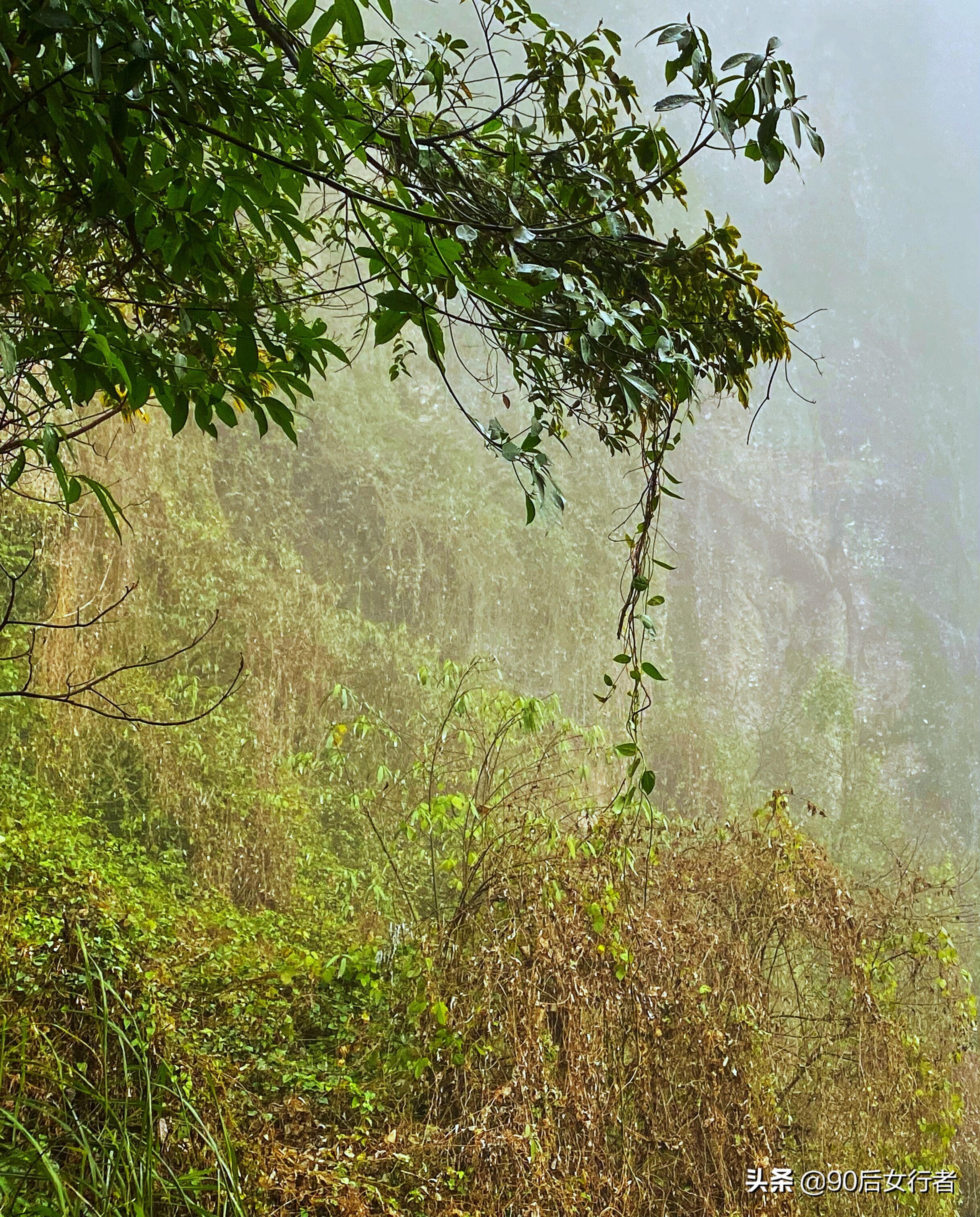 下雨天去拜访师傅合适吗,雨天去青城山