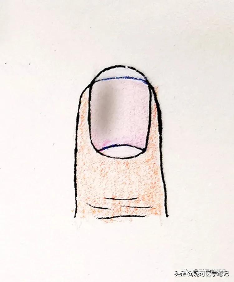 进行手部指甲养护的步骤,手部理疗和指甲护理