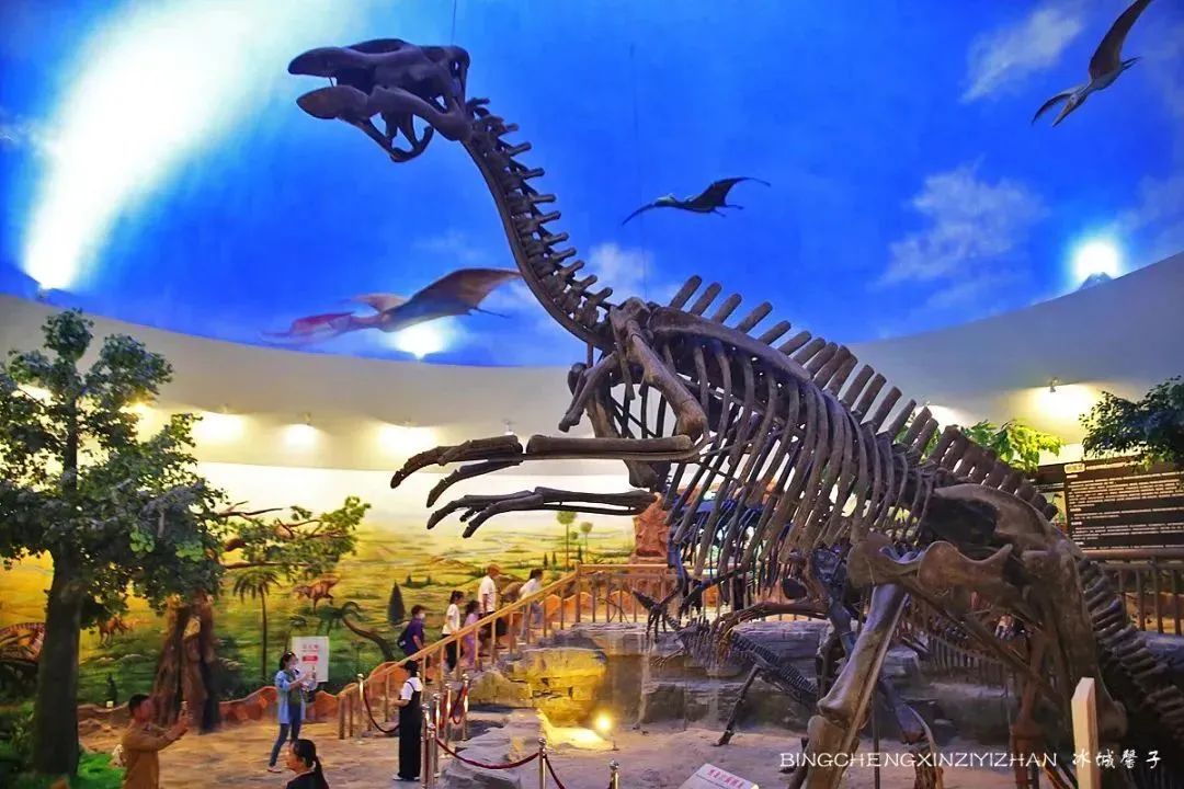 黑龙江恐龙之乡嘉荫县,中俄边境伊春市嘉荫县