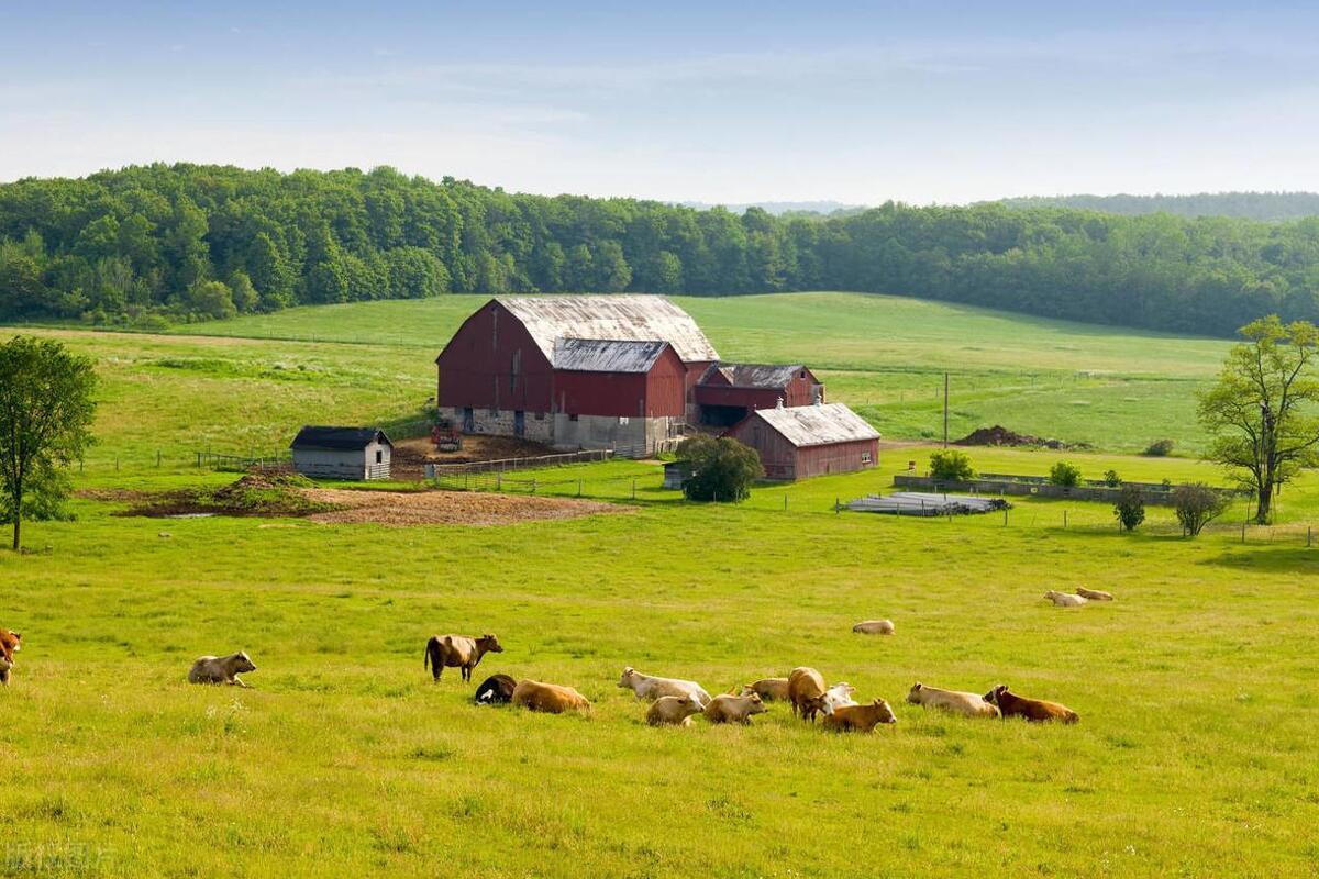 国有农场经营模式有哪些,农场直供模式的盈利模式有哪些