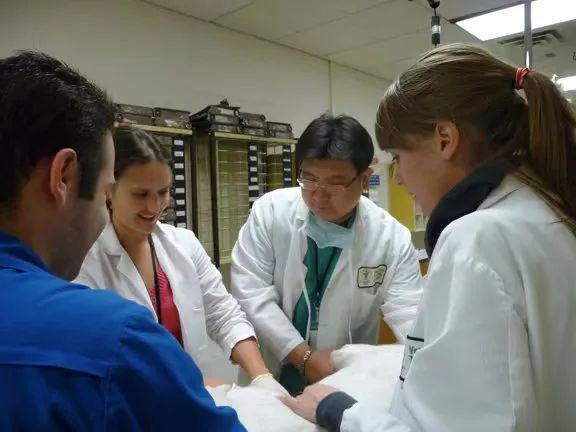 魏仁生兽医,魏仁生