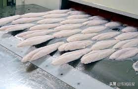 液氮冻鱼复活,液氮冻鱼复活什么原理