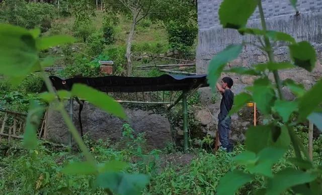 中国年轻人断亲现象的启示,中国年轻人断亲现象危害