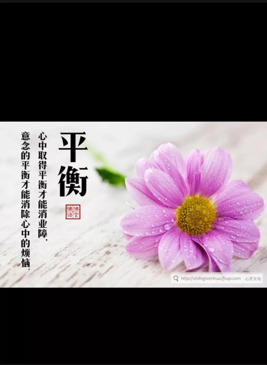 佛教中的实相有哪些,佛教法相有哪些