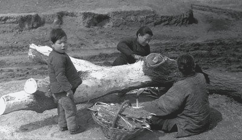 日本侵略暴行记录照片,老照片揭露日本暴行