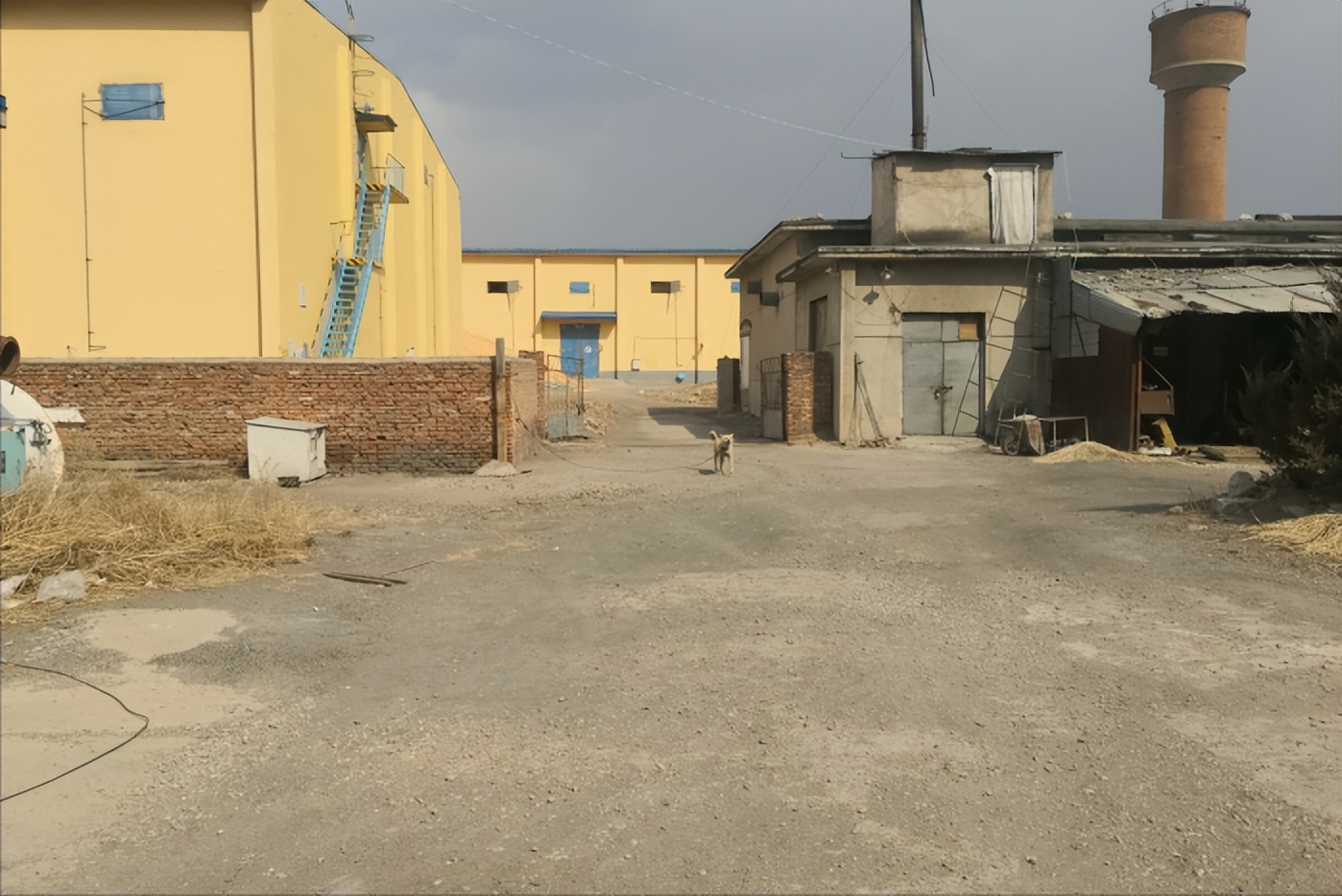 挂面大王陈克明,陈克明挂面创业故事视频