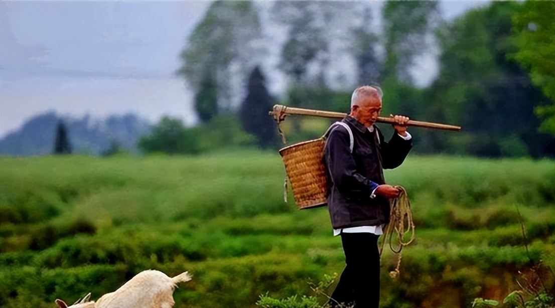 人过七十不上坟的意思,人过七十不扫墓有什么说法