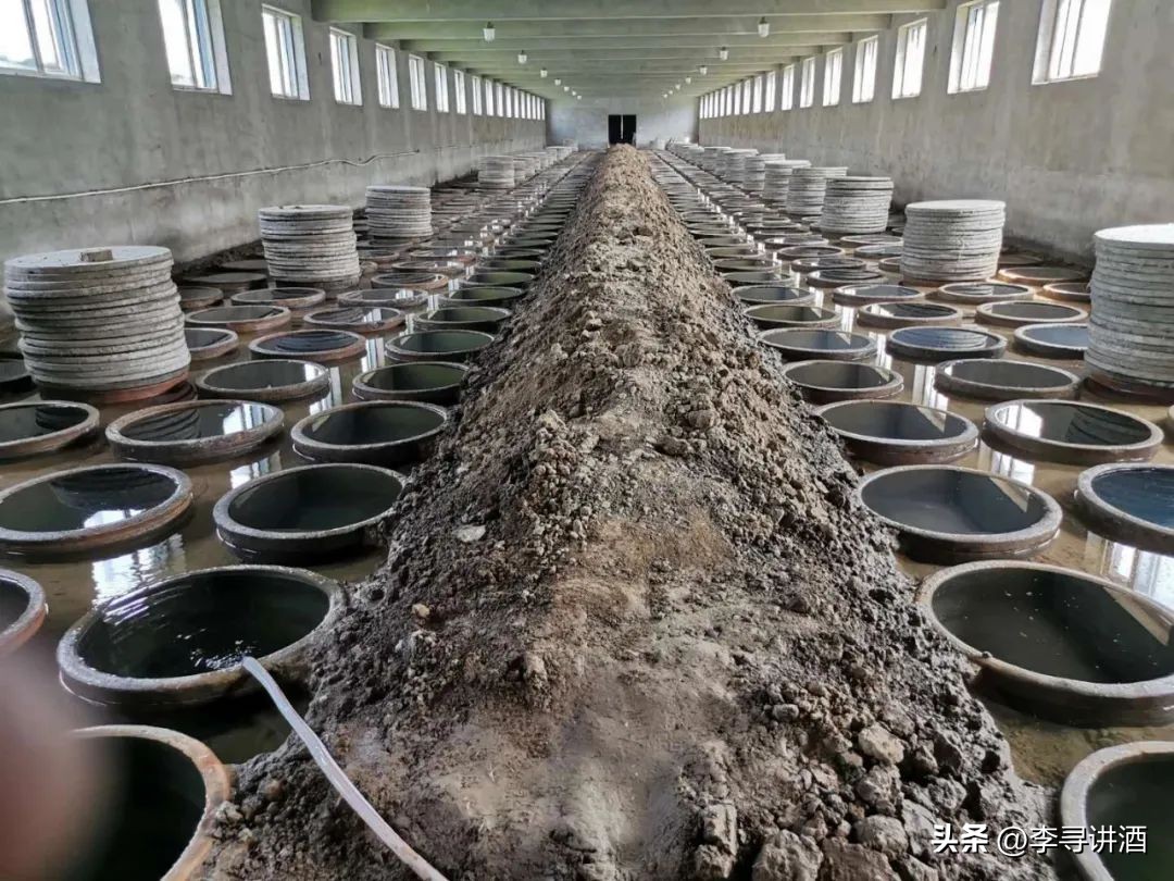 李寻谈酒鉴定视频,李寻说酒