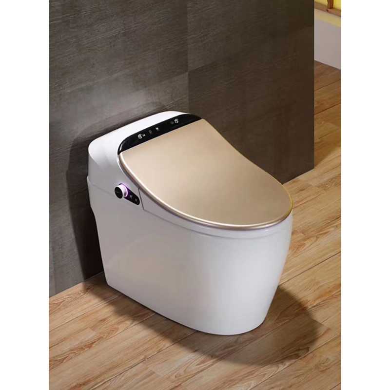 带水箱的智能马桶的优点与缺点,为什么都推荐智能马桶