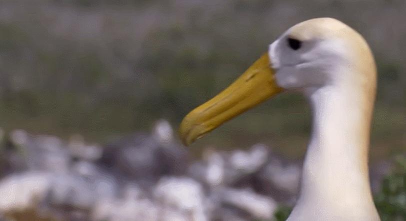 模范夫妻离婚了吗,再恩爱的夫妻最后都会离婚吗