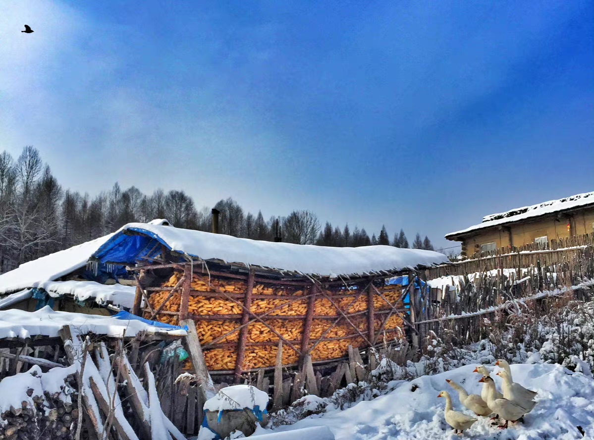 2020骞寸殑鍐板ぉ闆湴,2022鏄ヨ妭闆櫙鏃呮父鎺ㄨ崘