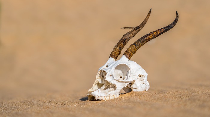 没有空气的地球是什么样的,地球如果没有水是什么样子的