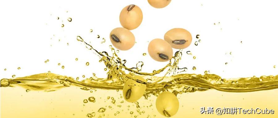 知耕研选｜我国大豆食品产业发展现状及存在问题