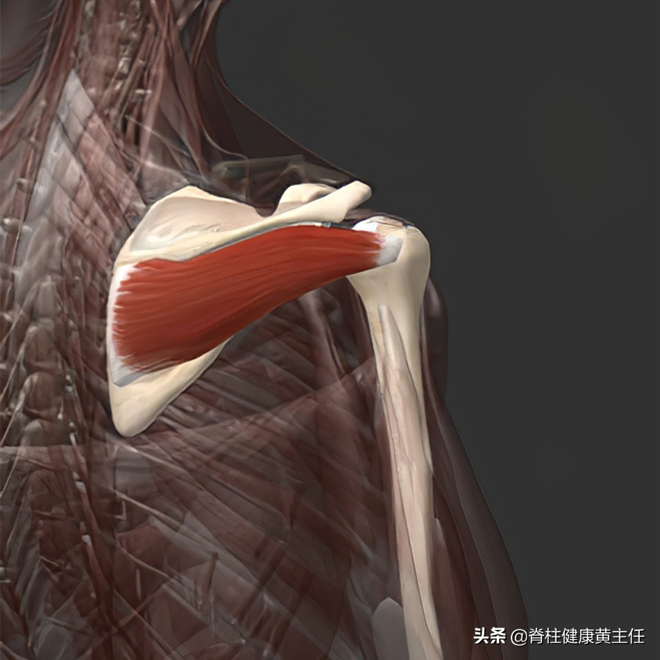 肩胛骨内侧疼痛一招搞定,肩胛骨内侧疼痛最好的治疗办法