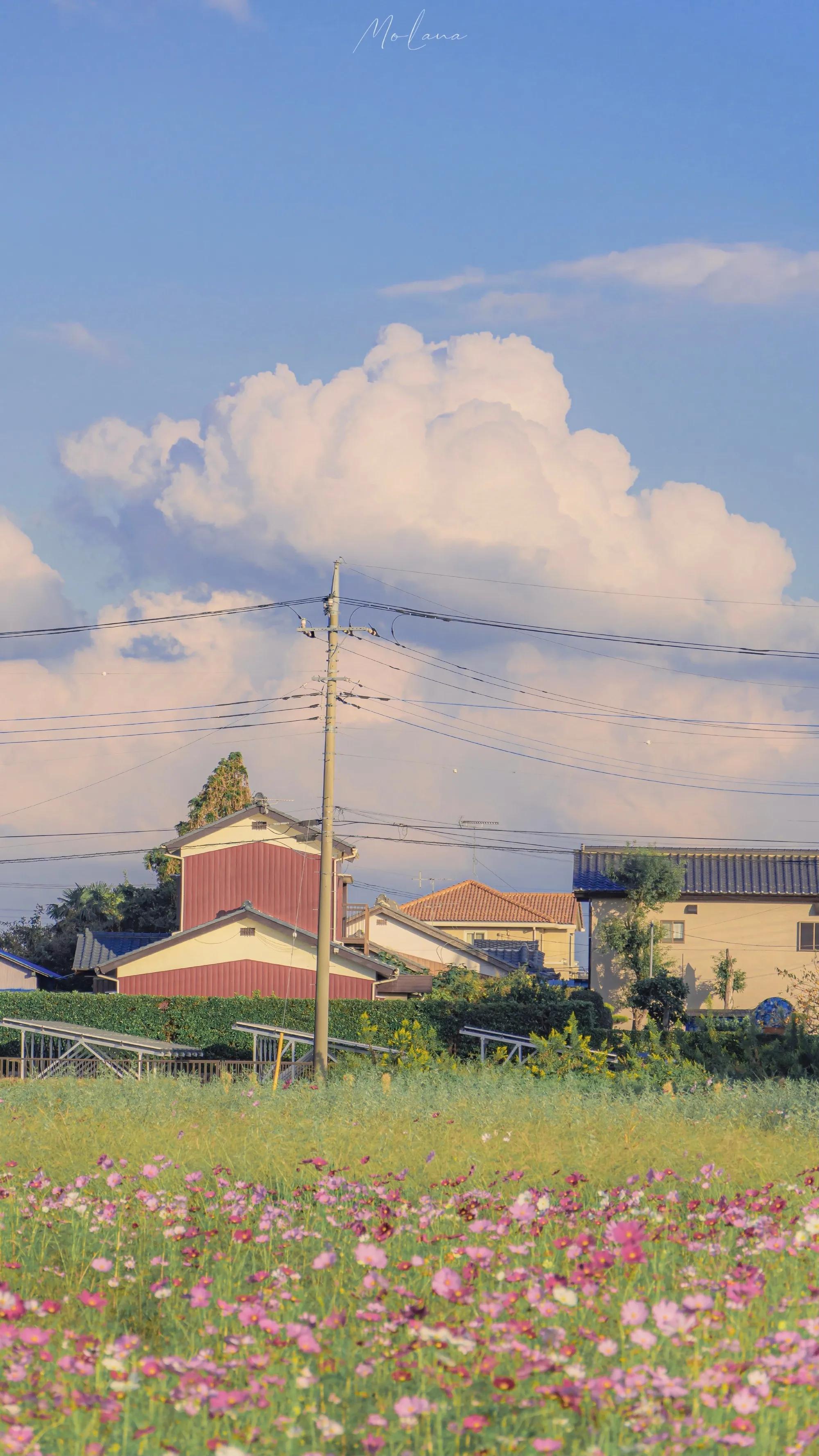 wechat氛围感手机壁纸,wechat背景图片素材