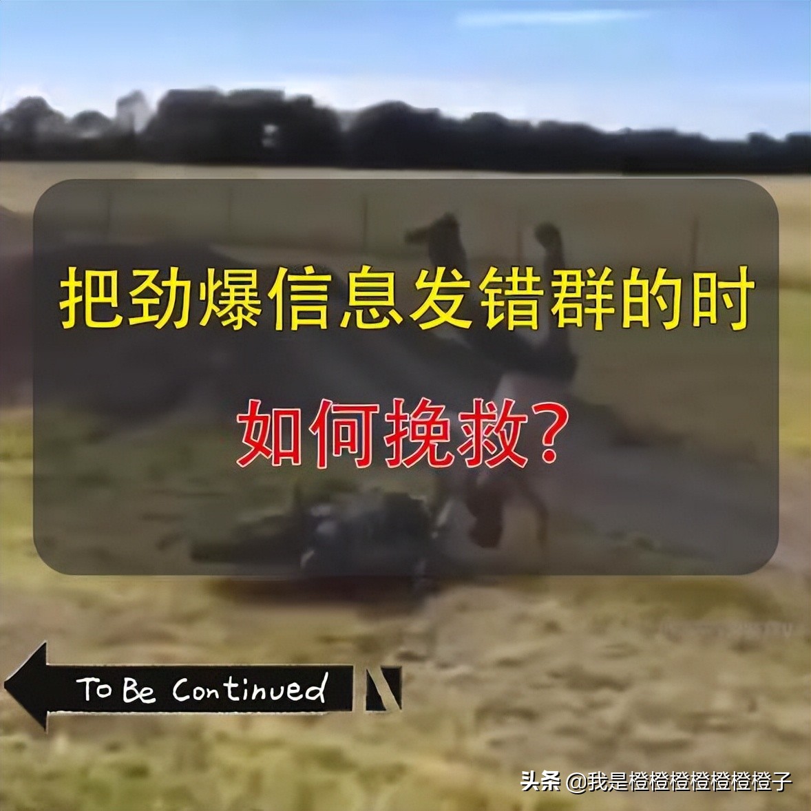 发消息发错群极限补救,信息发错群了怎么救场