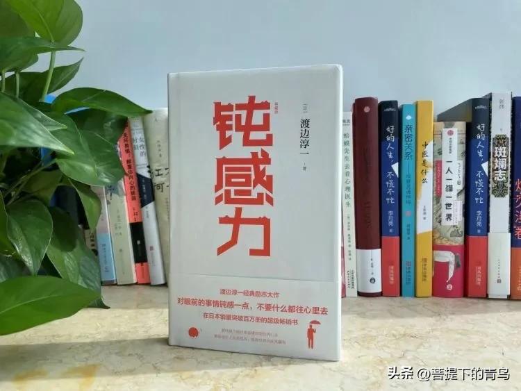 大智若愚大巧若拙是哪个学派的,大智若愚大巧若拙出自哪里