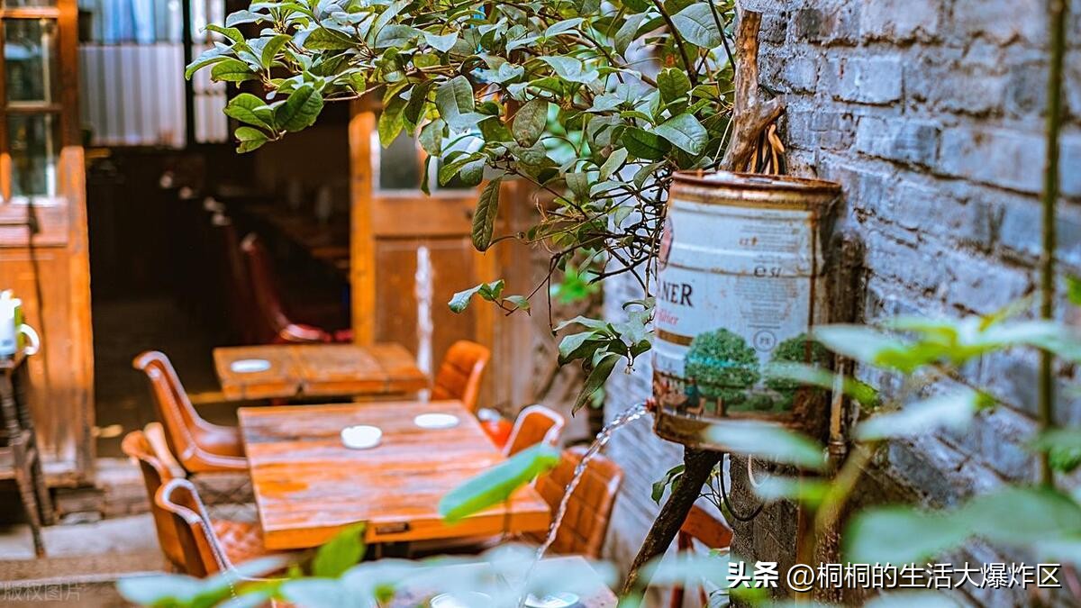 第一次上海一天游最值得去的地方,上海高品质游玩攻略