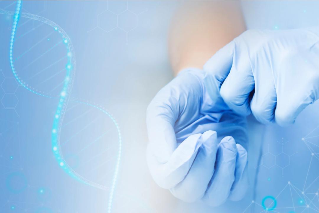 电子病历各个部分怎么录入,电子病历怎么申报